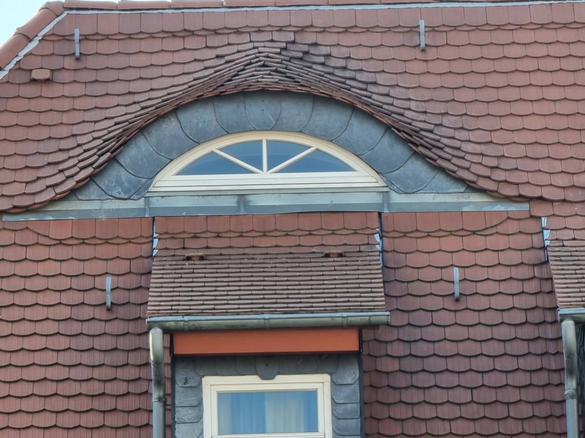 Fledermausgaube billig angeboten, schnell&nbsp;gedeckt