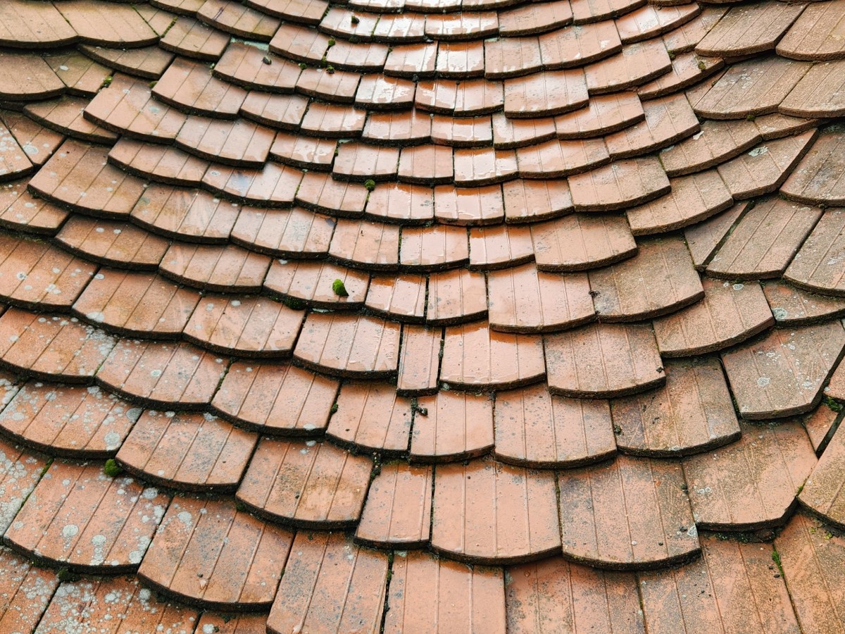 Versuch einer Biberschwanzkehle